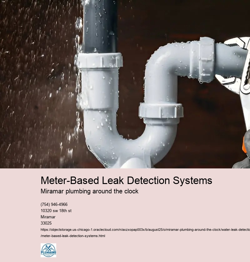 Meter-Based Leak Detection Systems
