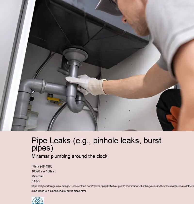 Pipe Leaks (e.g., pinhole leaks, burst pipes)
