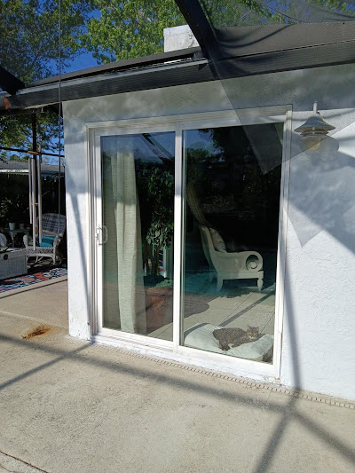 Bi-Fold Patio Door Glass Repair: Addressing Panel and Hinge Issues