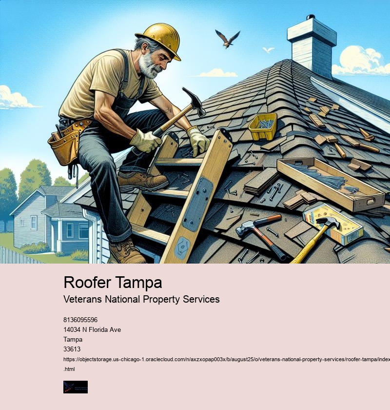 Roofer Tampa