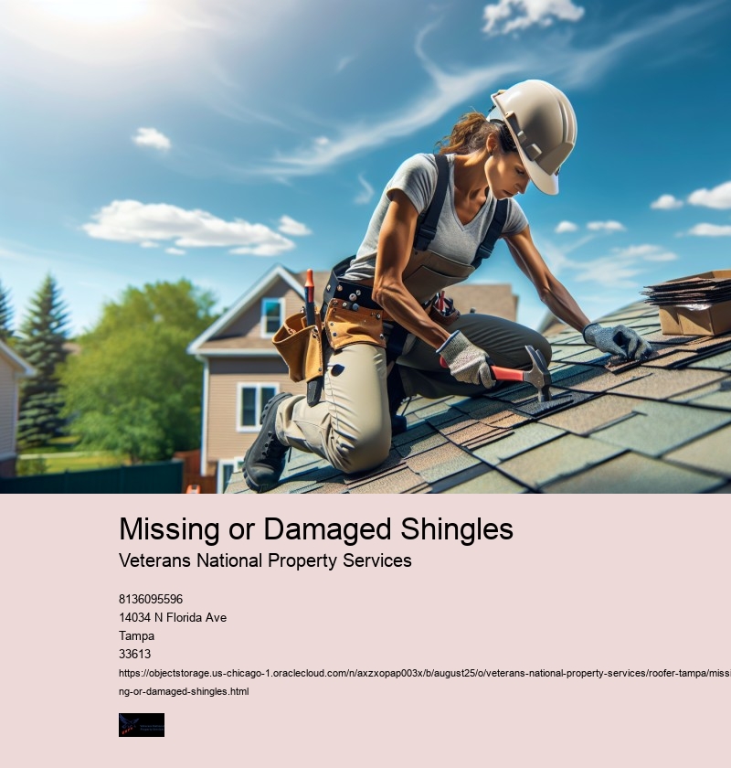 Missing or Damaged Shingles