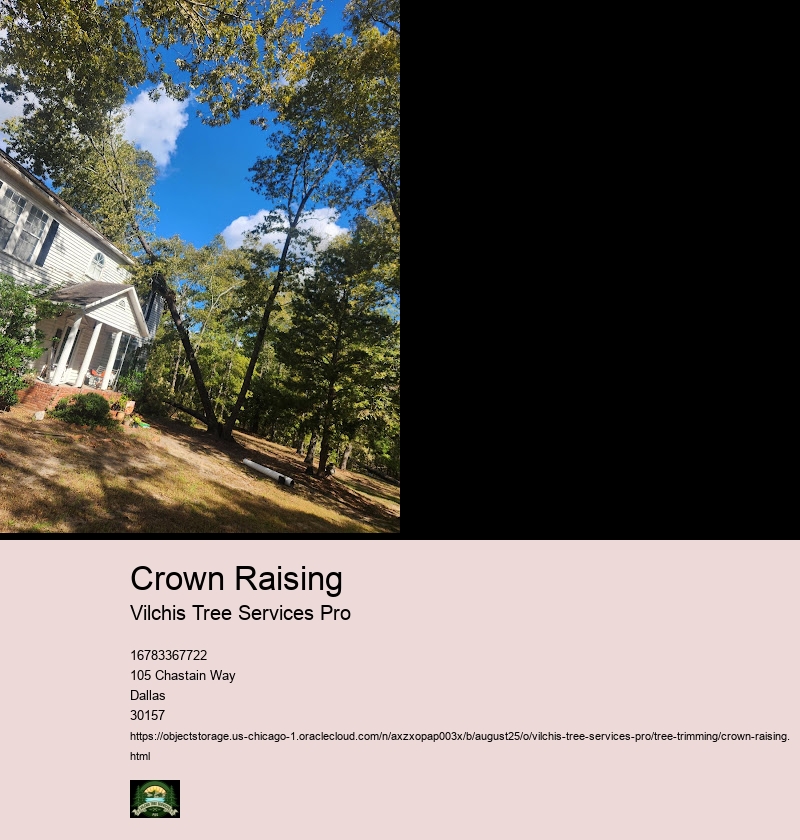 Crown Raising Techniques and Best Practices