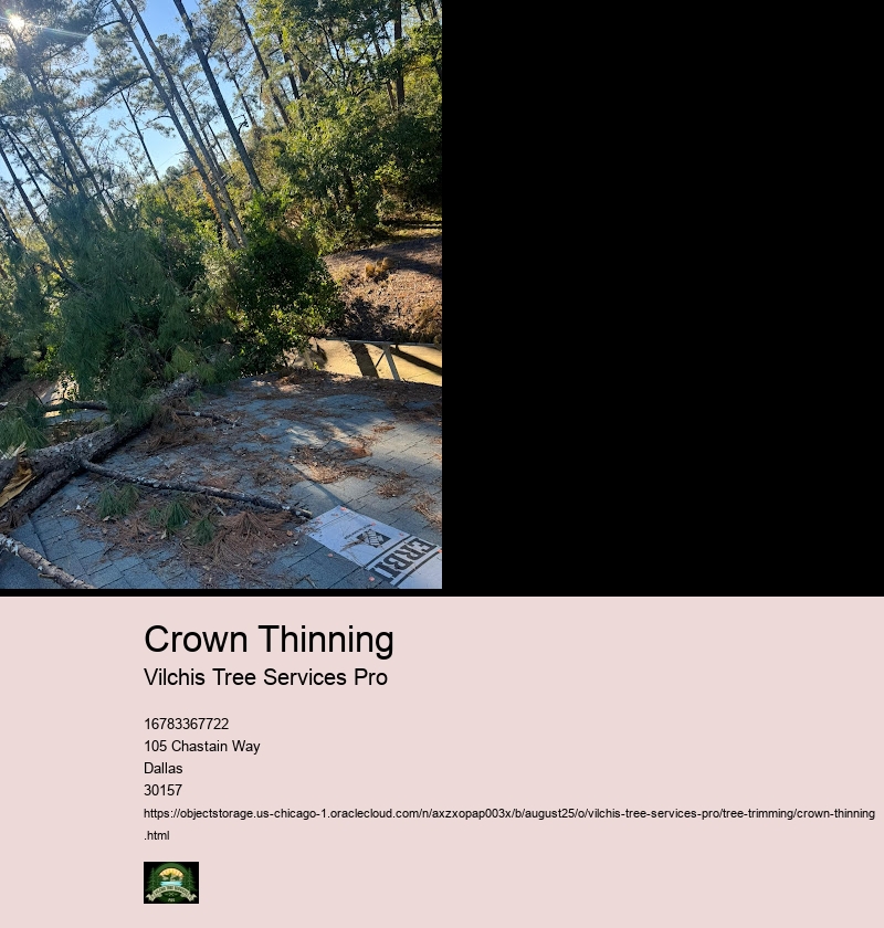 Crown Thinning Techniques and Best Practices