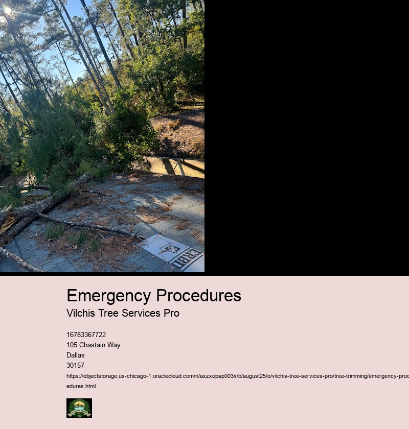 First Aid and Basic Life Support for Tree Trimming Injuries