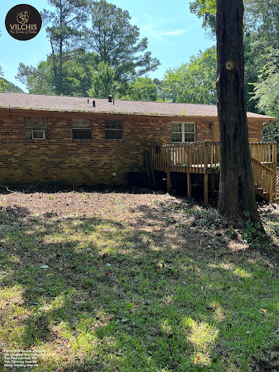 Common Pruning Mistakes and How to Avoid Them