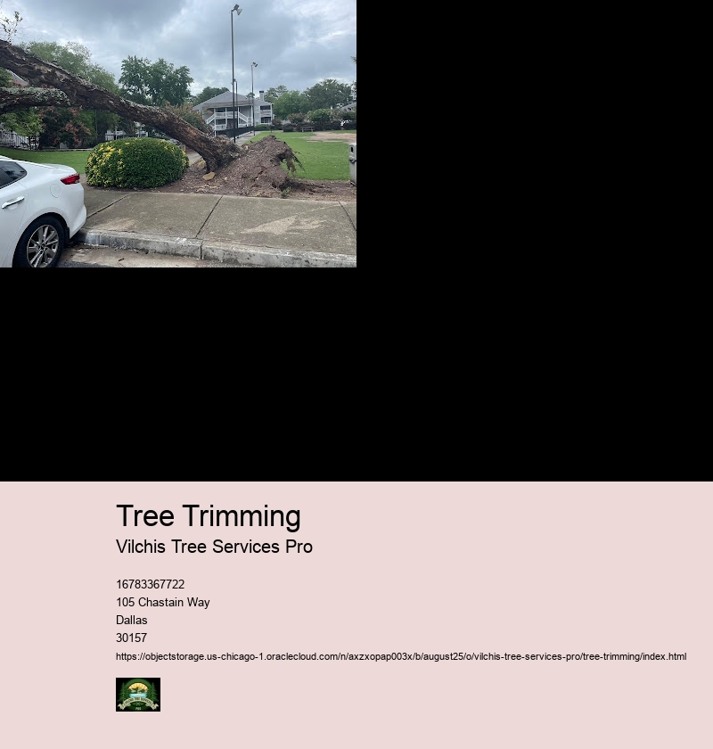 When to Trim Trees