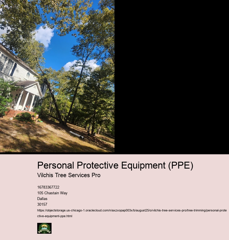 Choosing the Right PPE for Different Tree Trimming Tasks