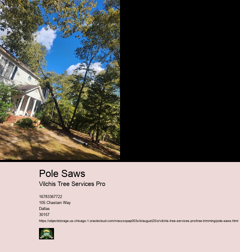 Choosing the Right Pole Saw for Tree Trimming