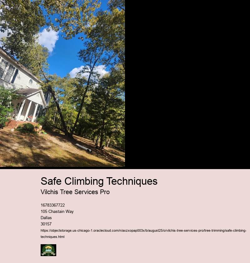 Safe Use of Climbing Spurs/Spikes