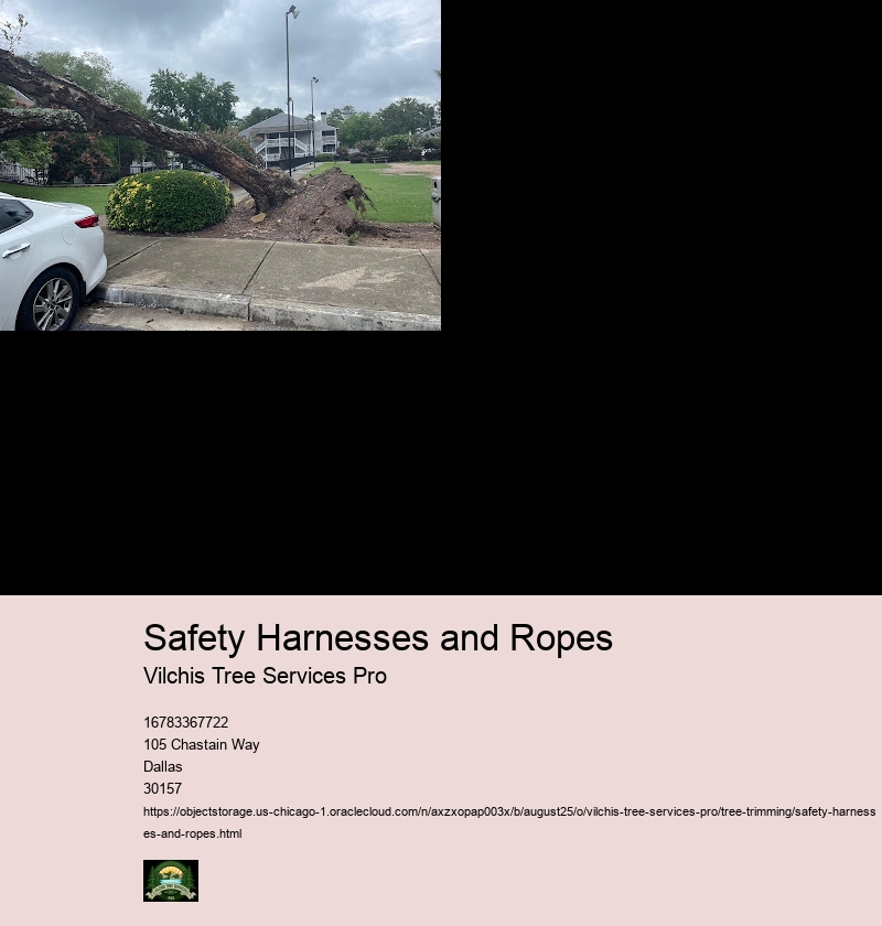 Harness Inspection and Maintenance