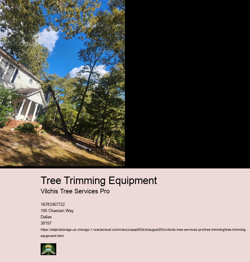 Safety Gear for Tree Trimming