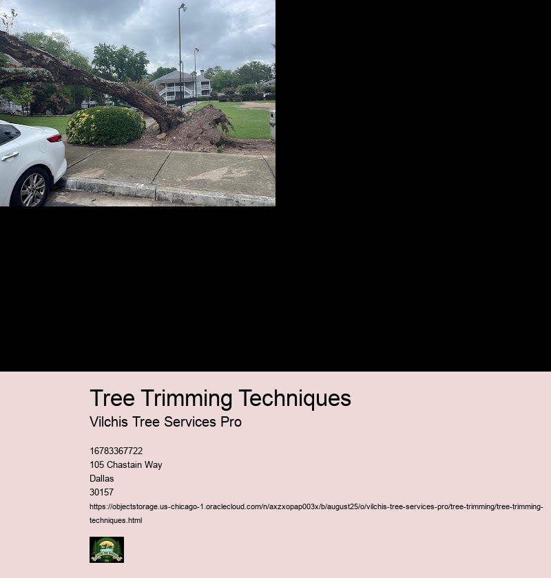 Trimming Techniques for Young Trees