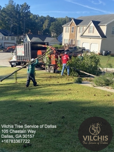 Maintaining and Sharpening Your Pruning Saws