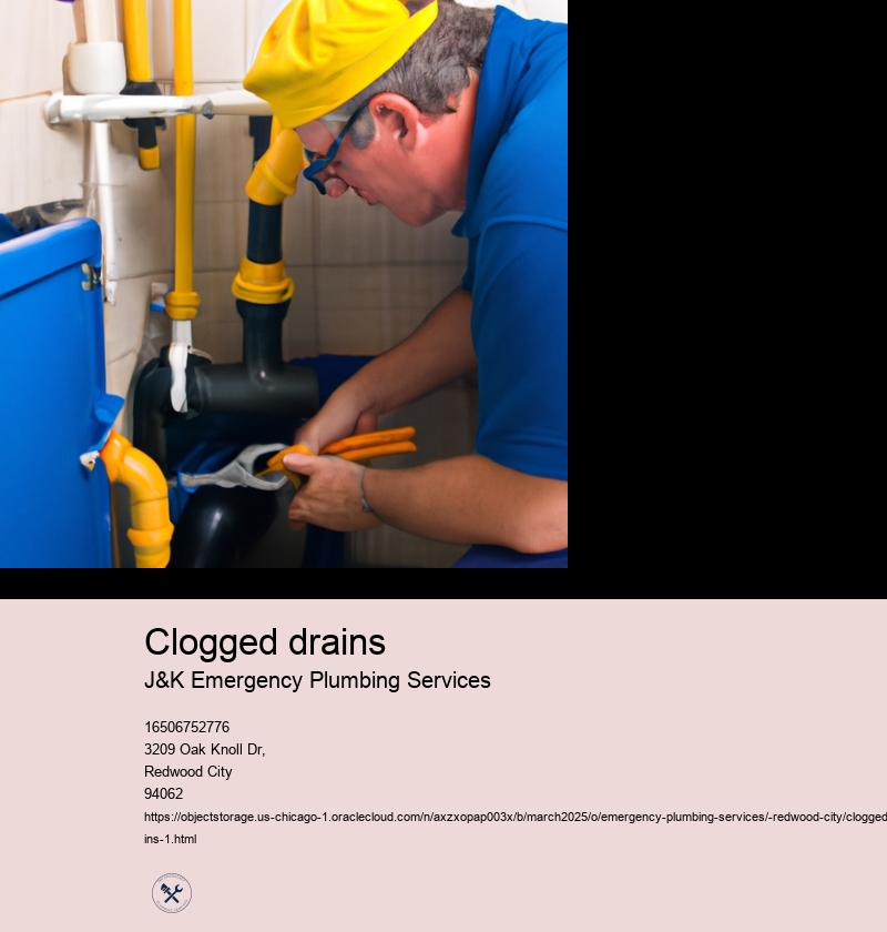 Common Causes of Clogged Drains