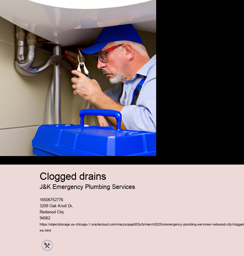 Common Causes of Clogged Drains