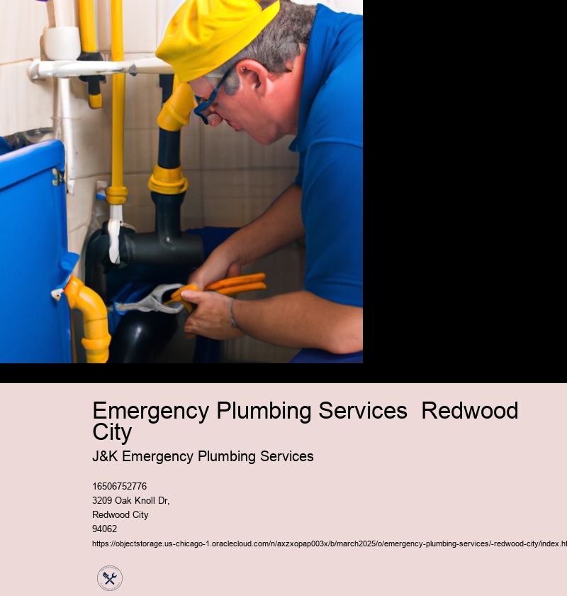 Common Emergency Plumbing Issues