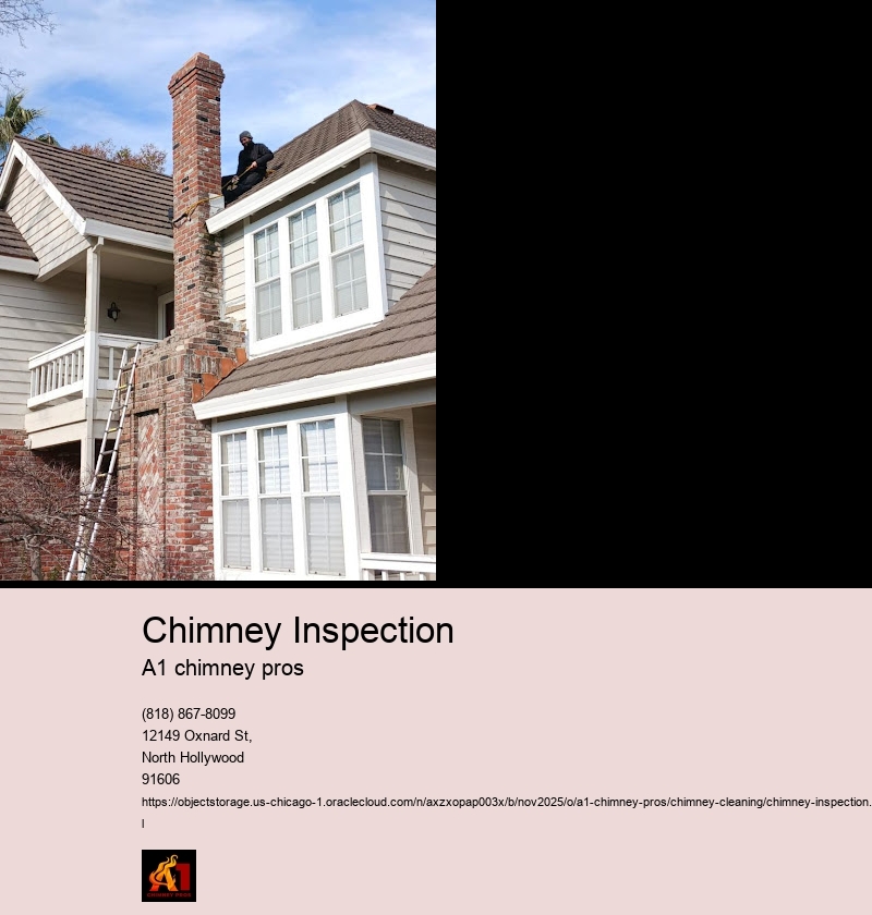 Importance of Regular Chimney Inspections