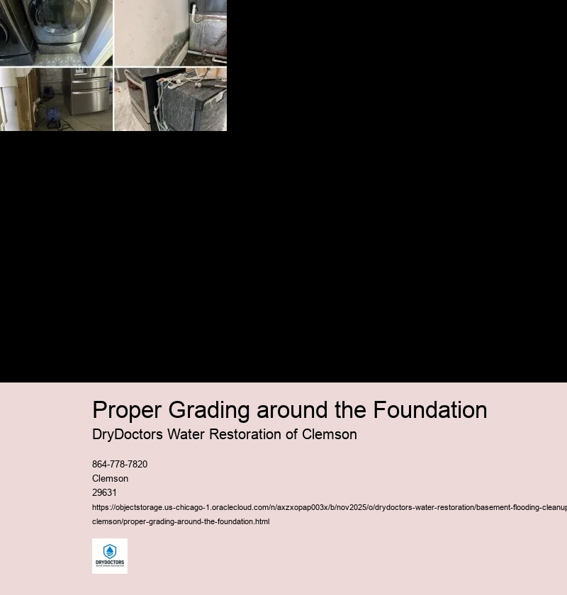 Assessing the extent of water damage