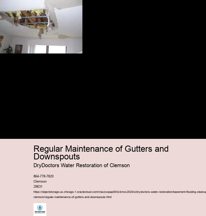 Importance of Regular Gutter and Downspout Cleaning