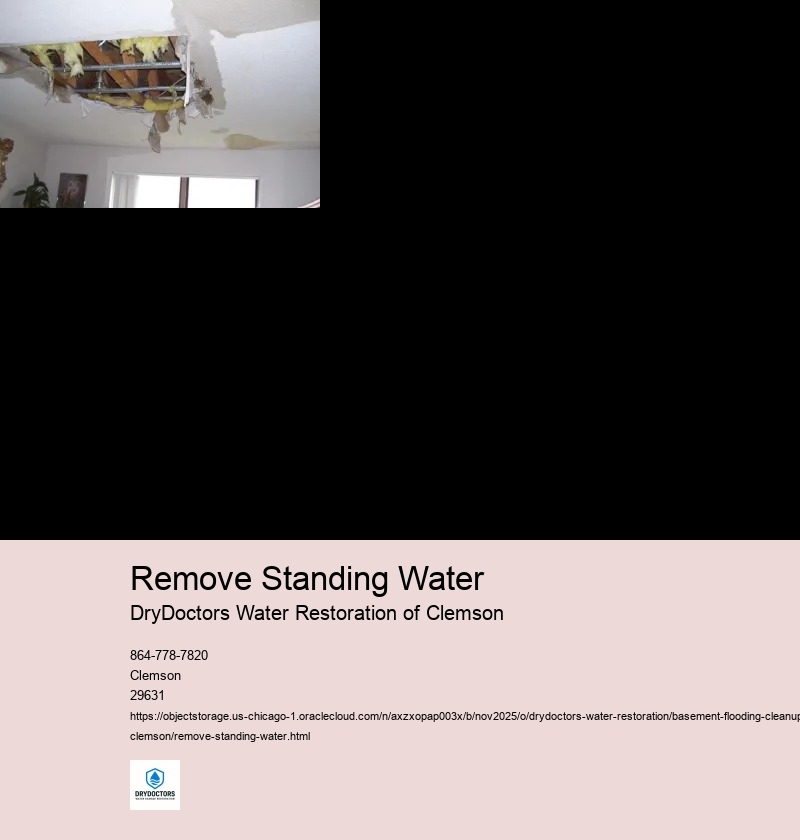 Identify Sources of Standing Water