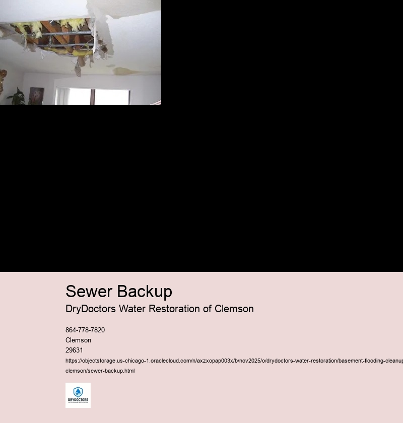 Causes of Sewer Backup