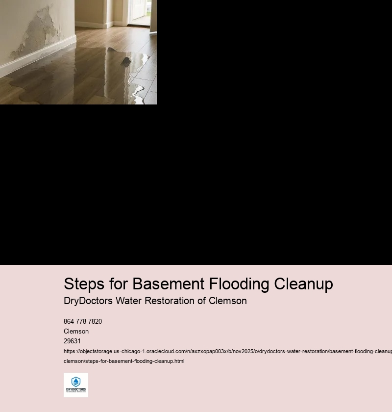 Remove Standing Water