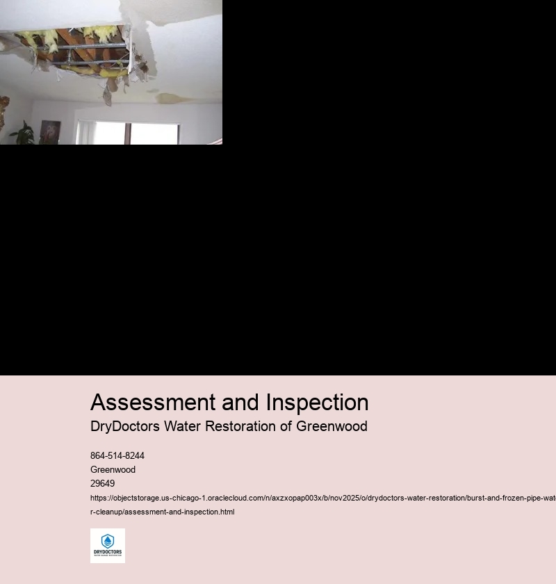 Assessment of Damage