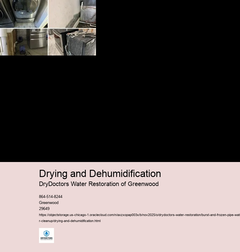 Importance of Proper Drying Techniques