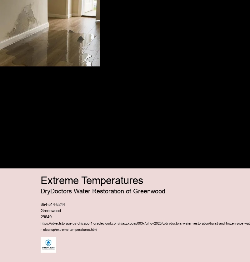 Risks of Burst and Frozen Pipes