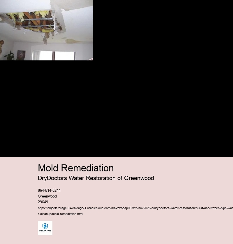 Assessment of Damage