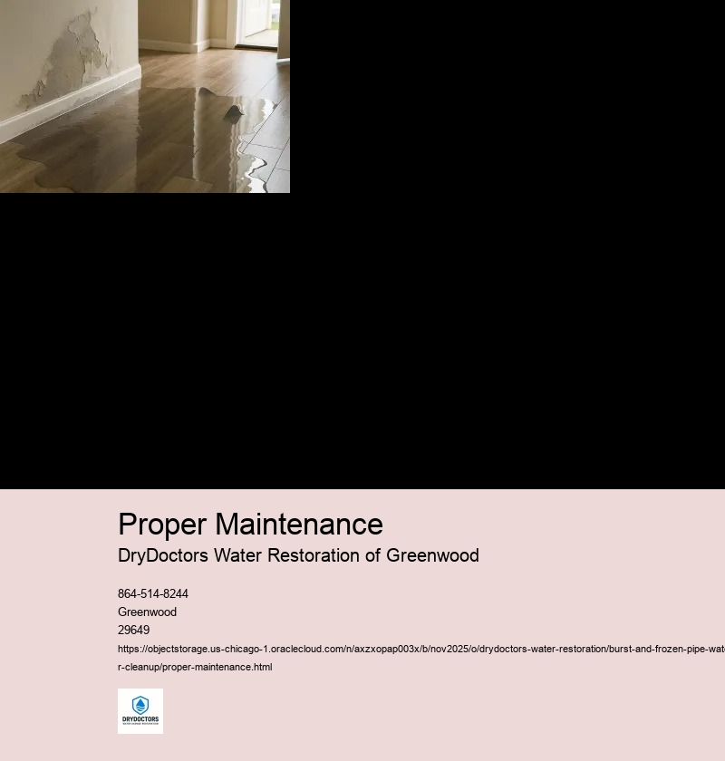 Identifying Burst or Frozen Pipes