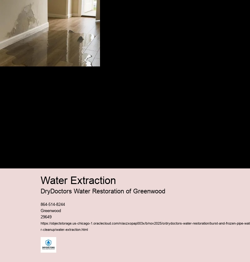 Identifying the Burst or Frozen Pipe