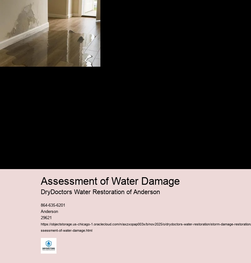 Signs of Water Damage