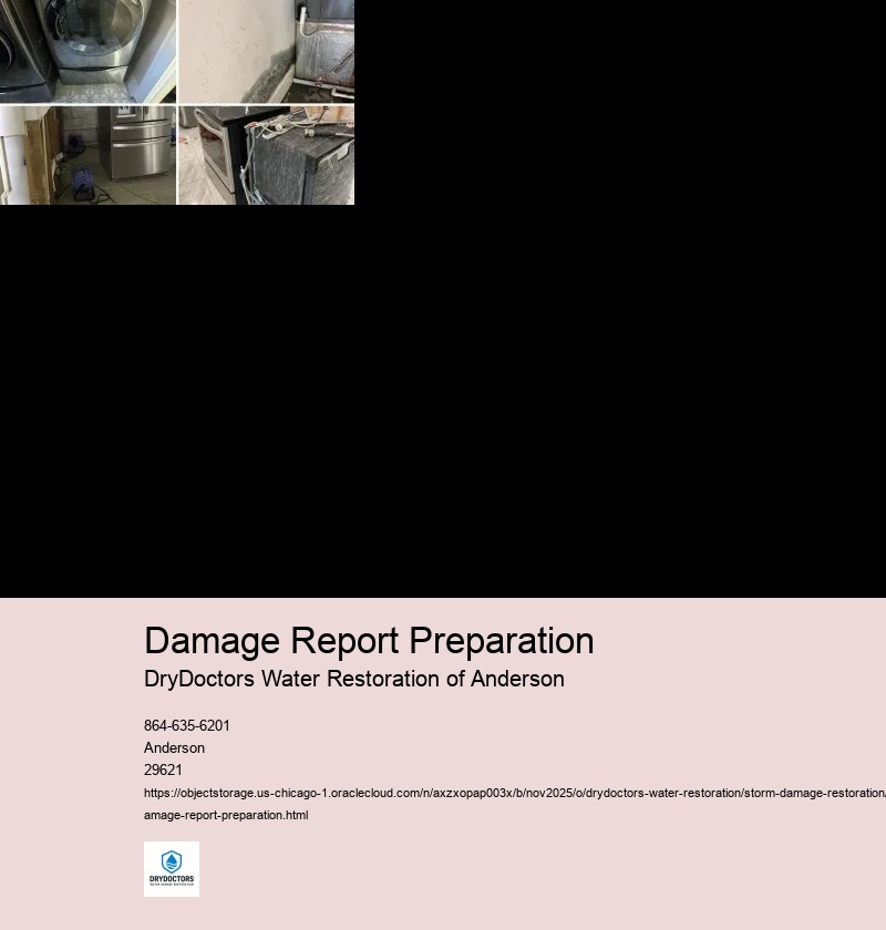 Documenting the Extent of Damage