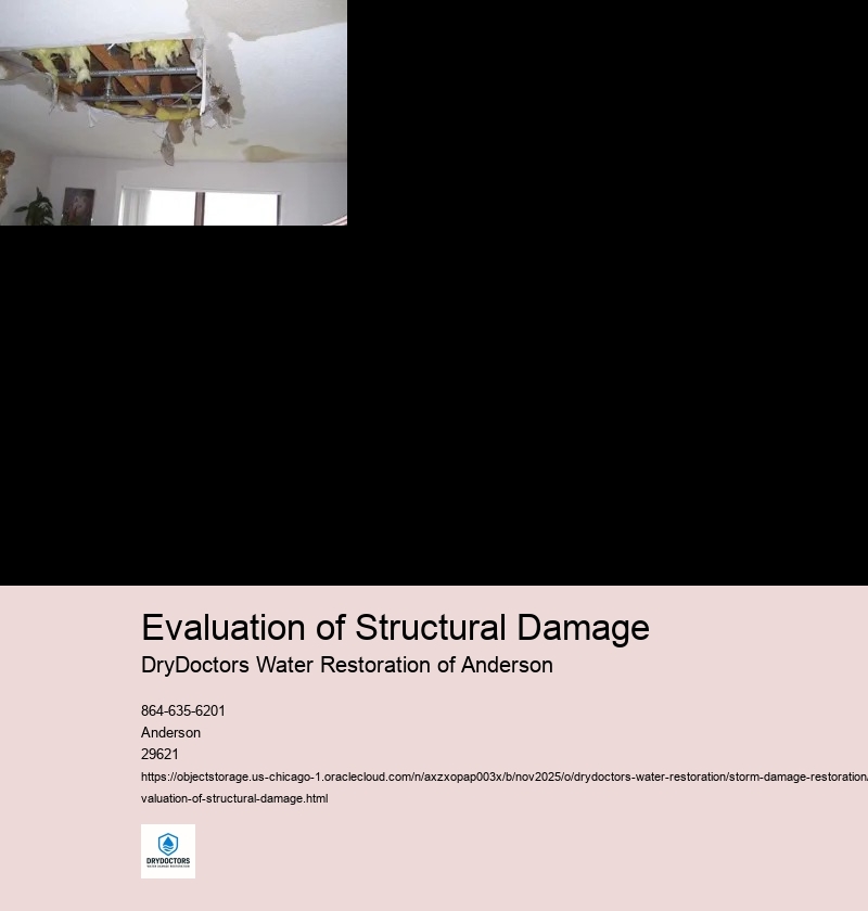 Causes of Structural Damage