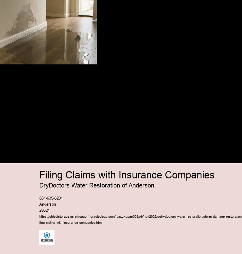 Documenting the Damage