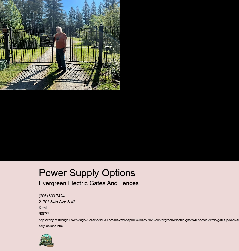 Types of Power Supplies for Electric Gates