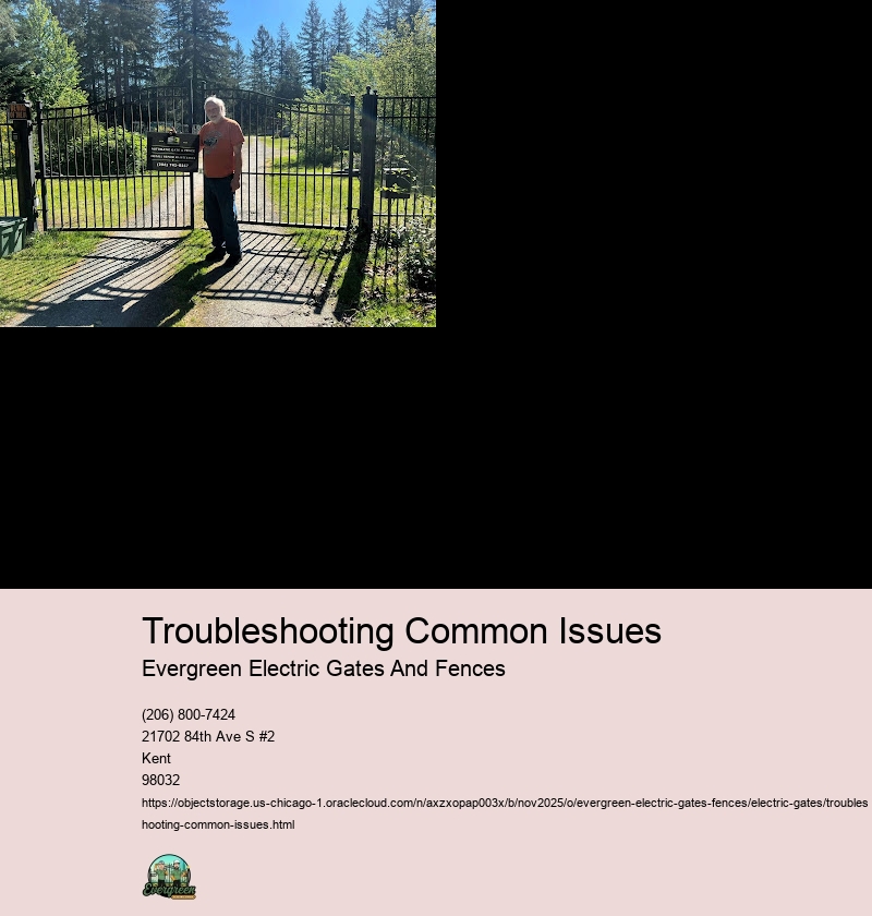 Diagnosing Signal Interference in Electric Gate Remotes