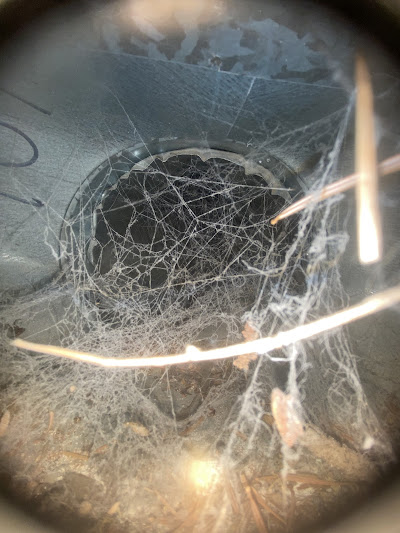 What is dryer vent cleaning and why is it important?