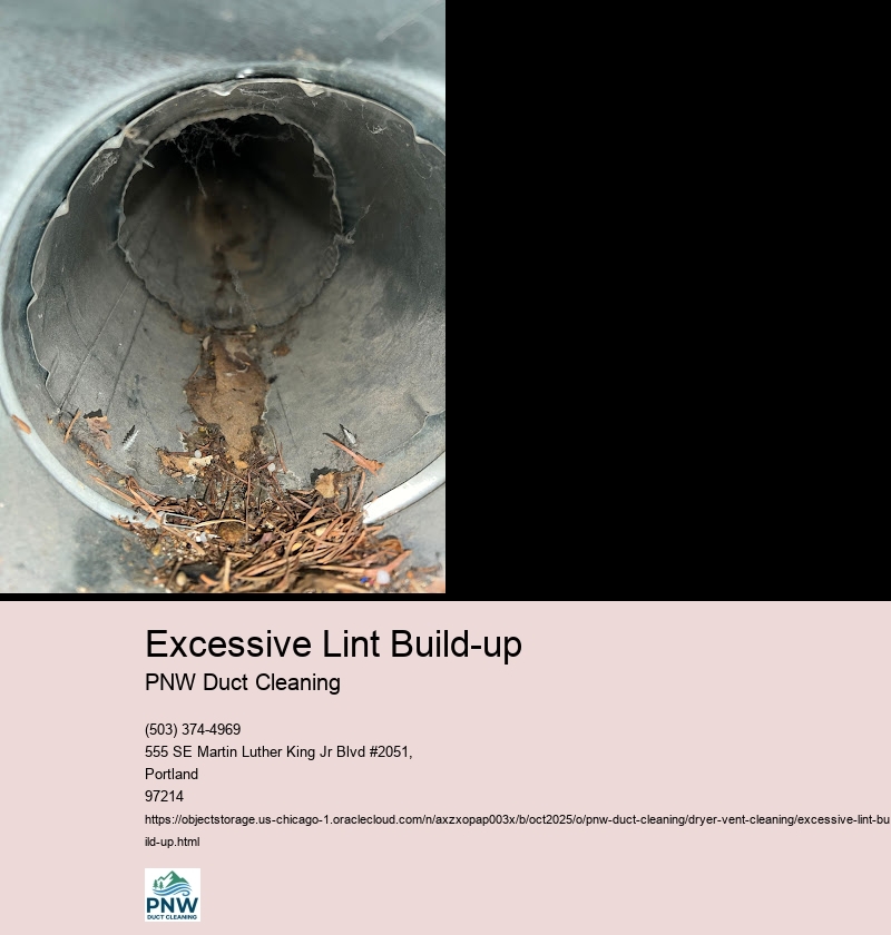 Signs of Excessive Lint Build-up