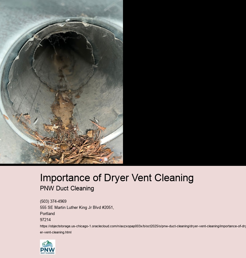 Signs Your Dryer Vent Needs Cleaning