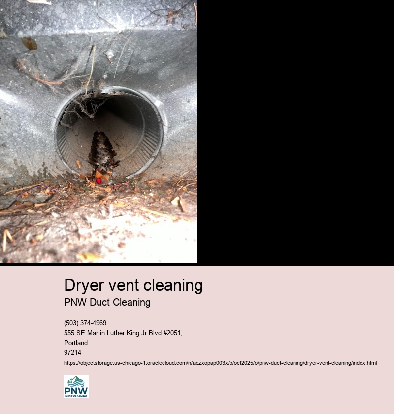 Importance of Regular Dryer Vent Cleaning
