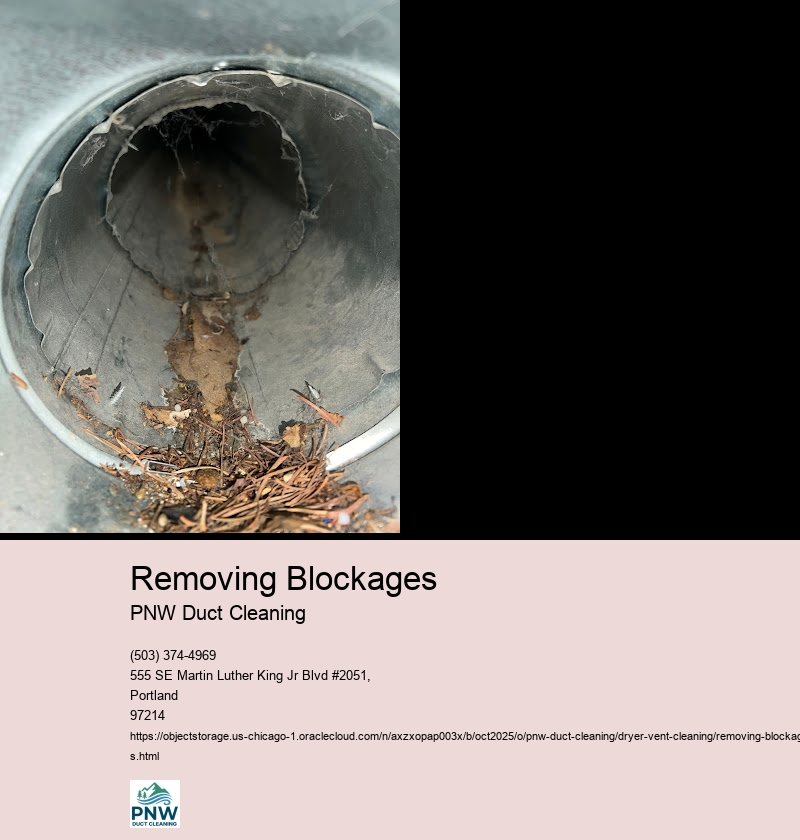 Importance of Regular Dryer Vent Cleaning