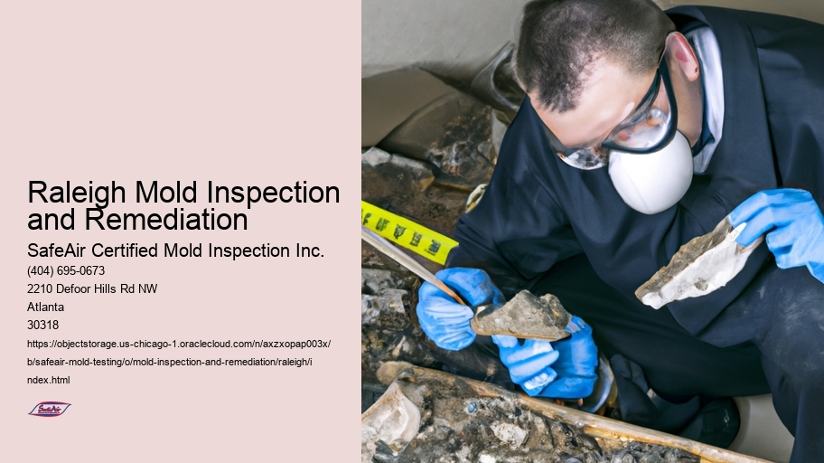 raleigh Mold Inspection and Remediation