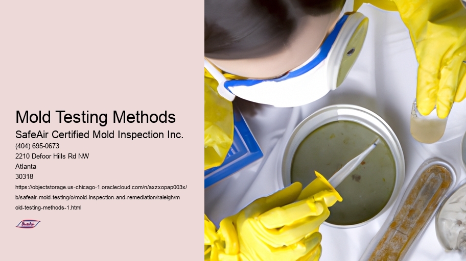 Mold Testing Methods