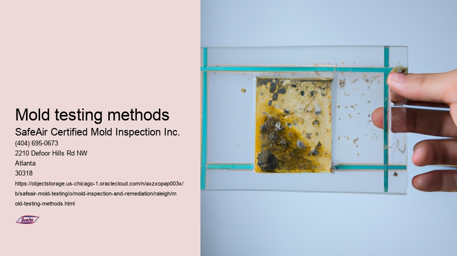 Mold testing methods
