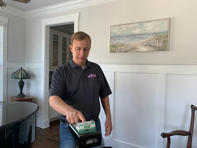 Benefits of professional mold removal services
