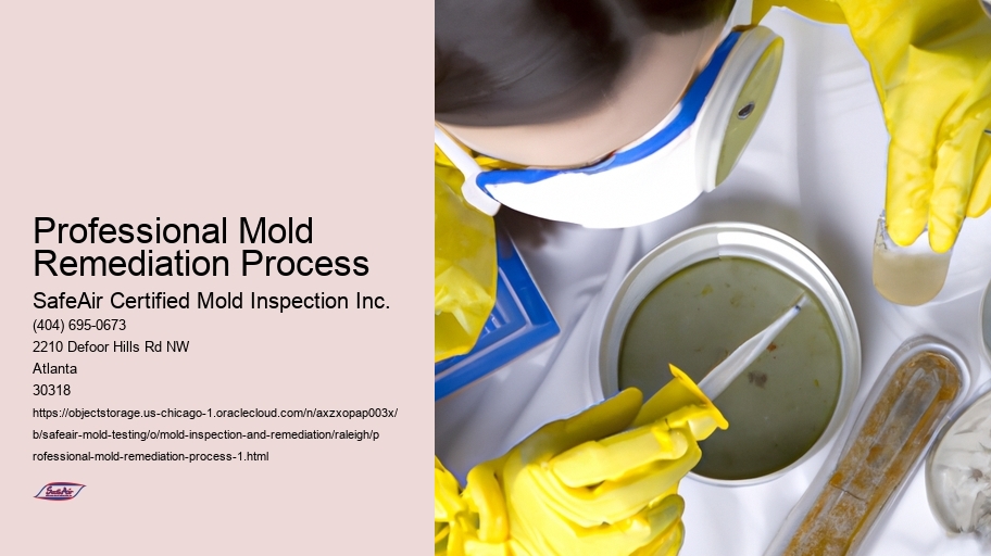 Professional Mold Remediation Process