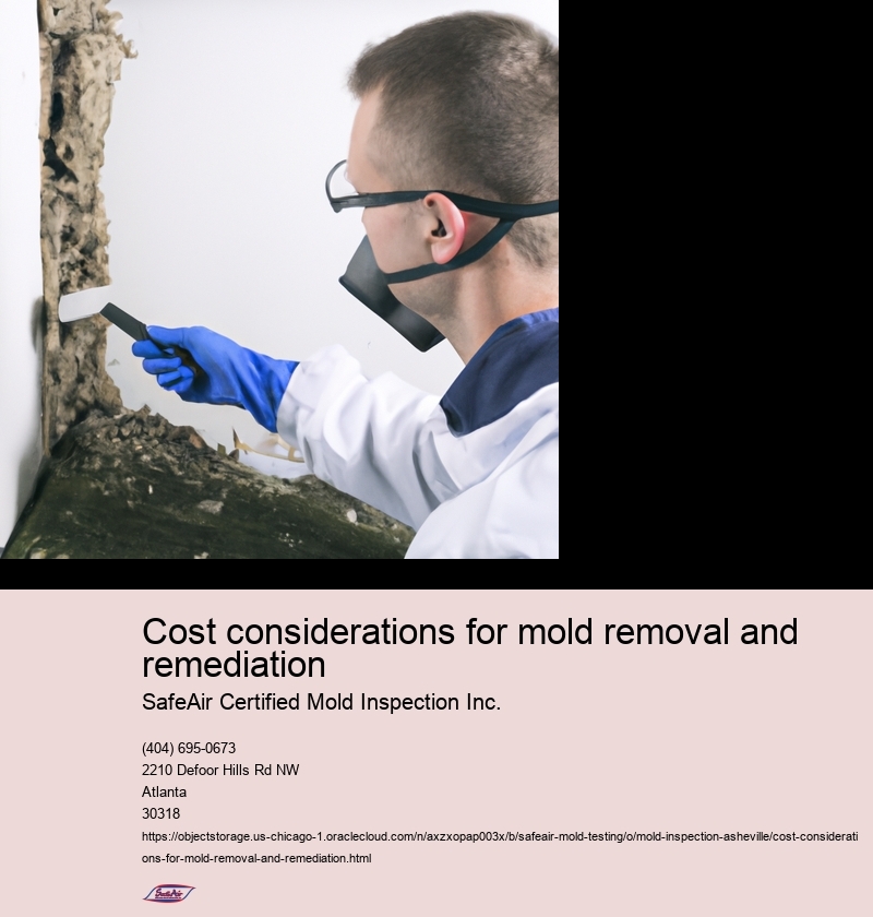 Factors influencing the cost of mold removal