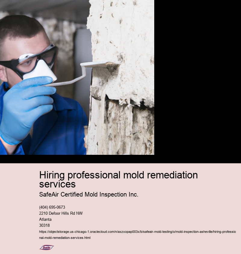 Importance of hiring professional mold remediation services
